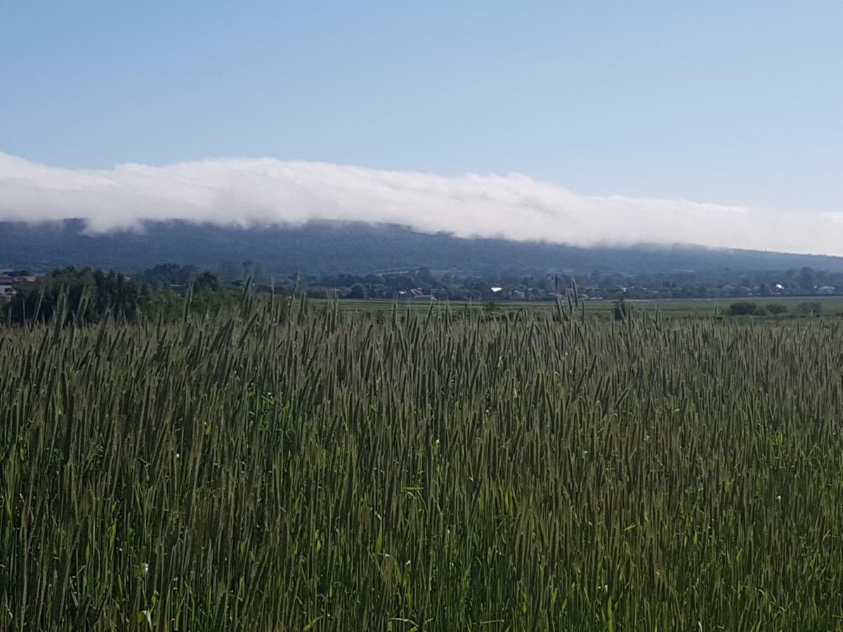 Mendokowe Ranczo Villa Gorno-Parcele Kültér fotó